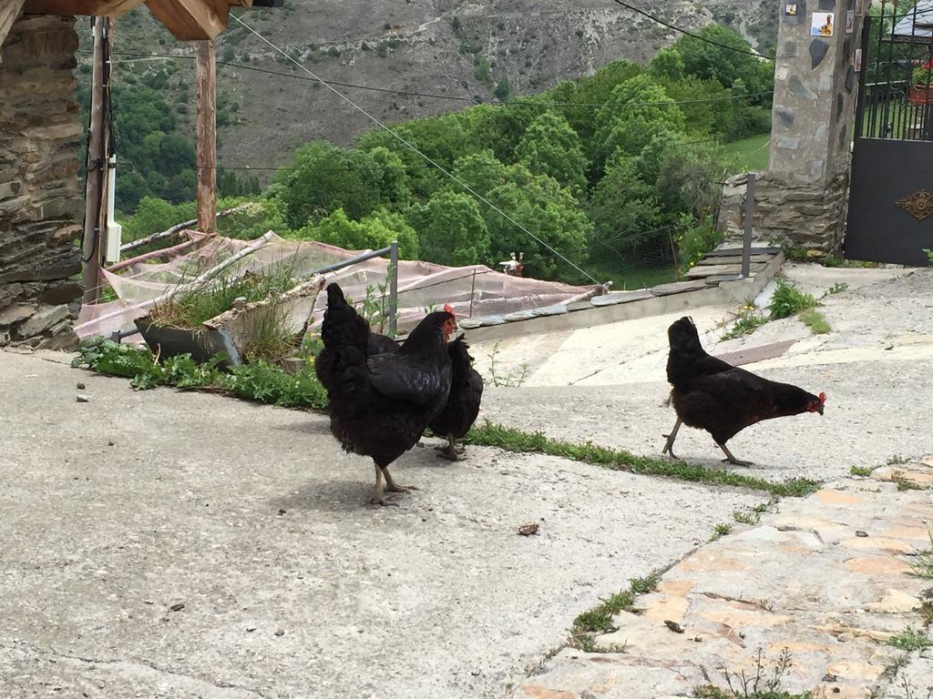 Lo Paller de Roc Montescladó Esterno foto